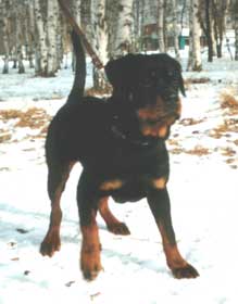 Алегранда, 9месяцев