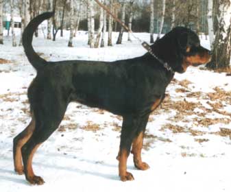 Алегранда,9месяцев