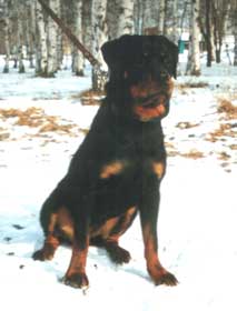 Алегранда, 9месяцев